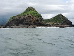 ballena aventura tour whale island 6