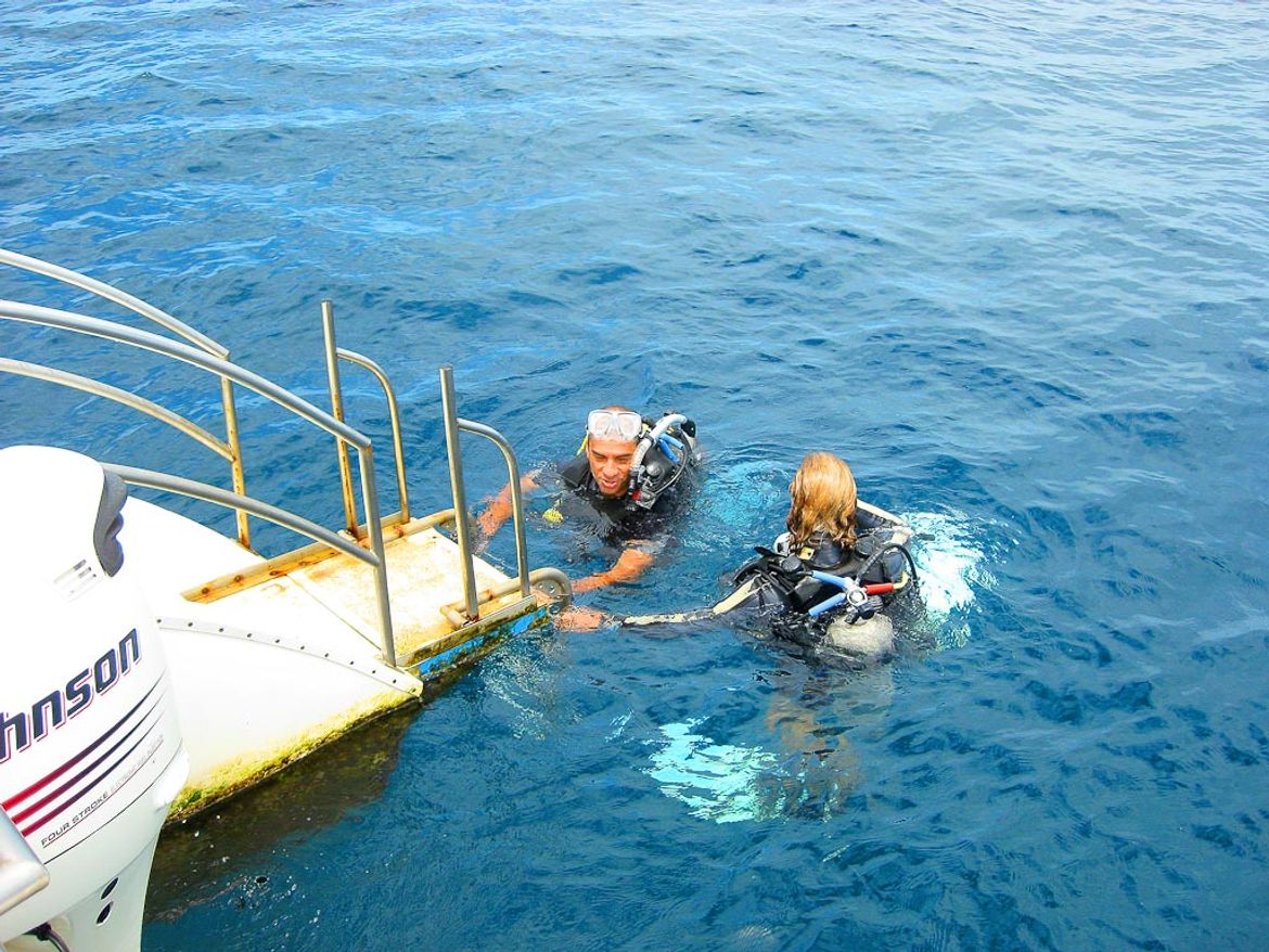 Divers at the Catalina Islands