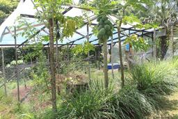 herb garden aquaponics tierrayfuego 18