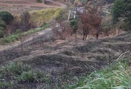 land for development in tibas view 002