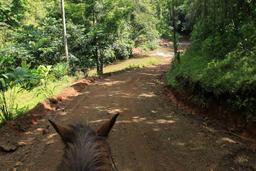 bijagual tour horseback 2