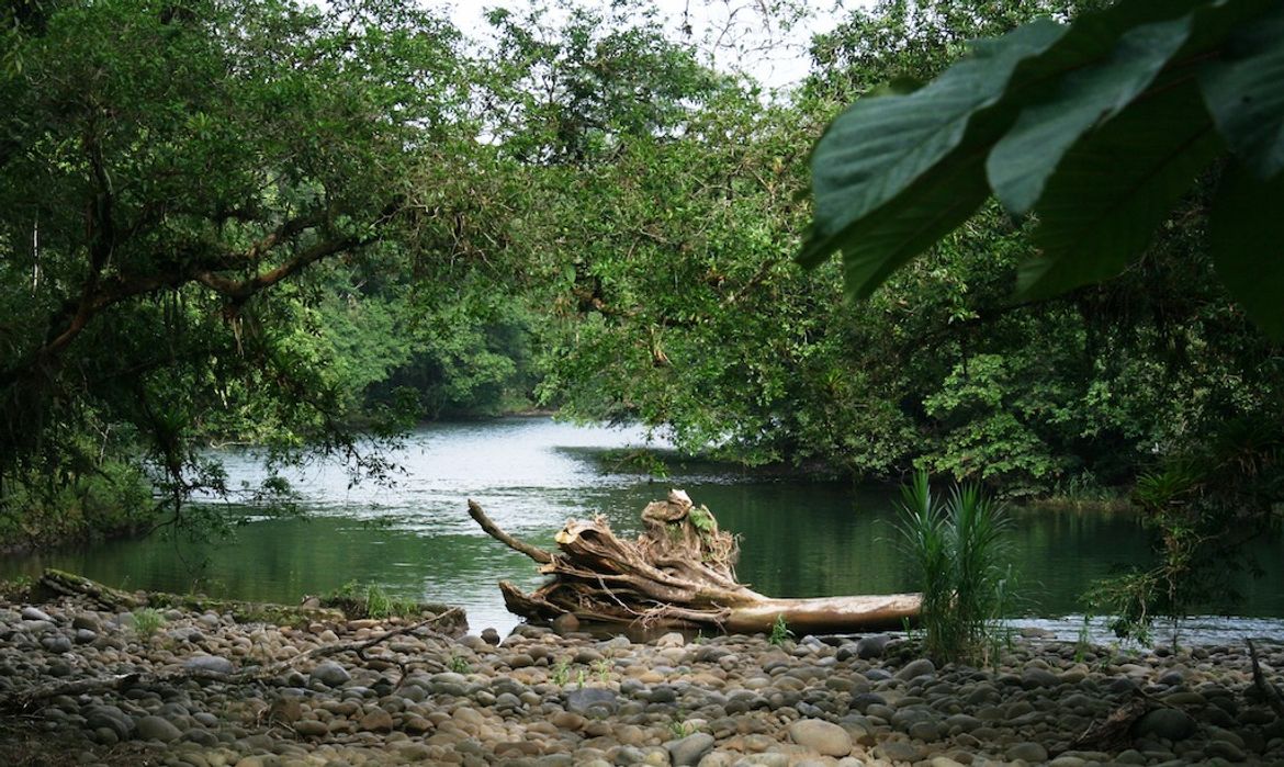 Tranquil River in Puerto Viejo de Sarapiqui