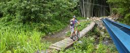 bamboo forest moutain bike tour bridge 1