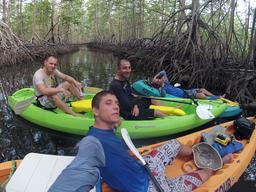 whale tail kayak tour mangrove 7