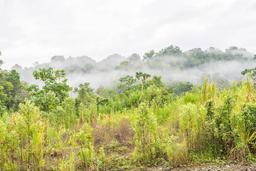 mountain ridge of los patos ranger station