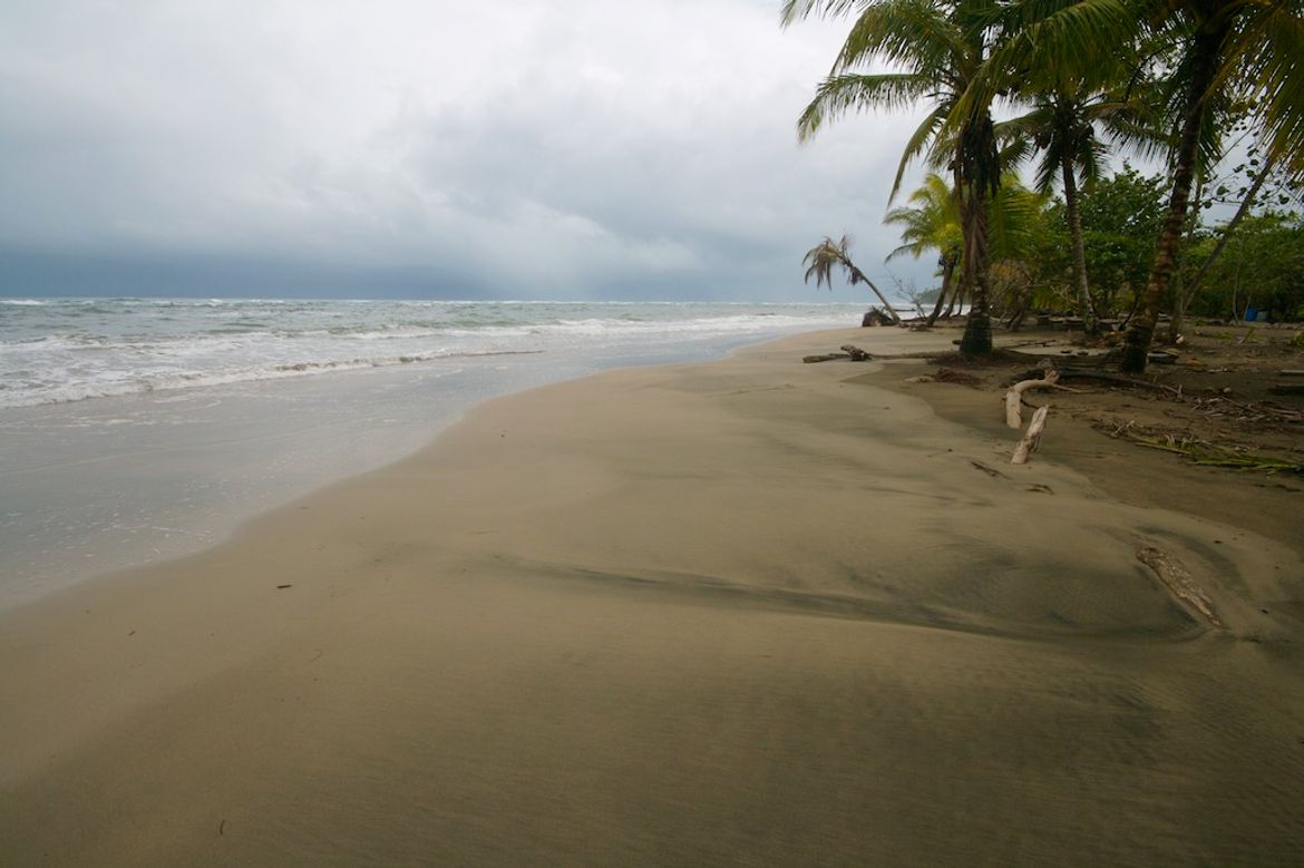 Deserted Coastline at Playa Manzanillo
