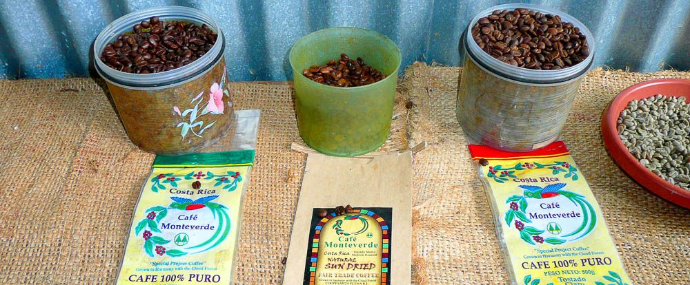 Coffee Tours