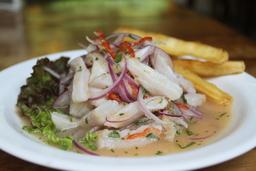 peruvian ceviche chicken joes 1