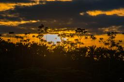 sunset in sierpe