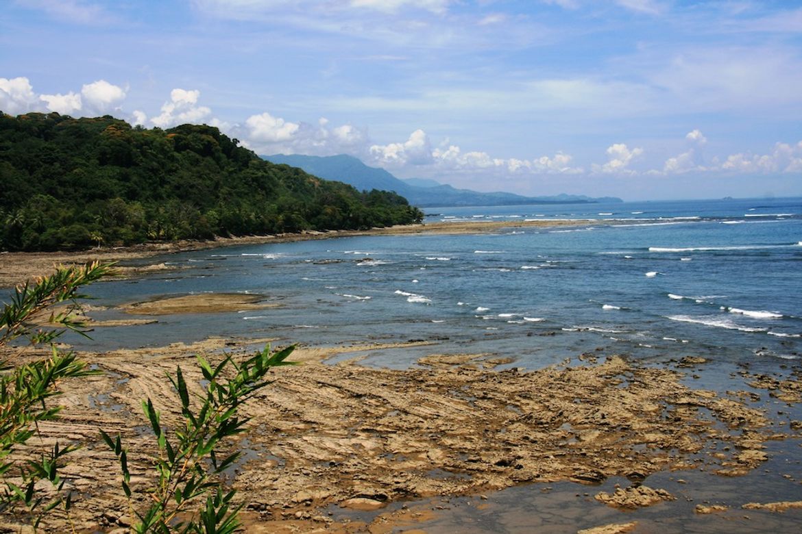 Shoreline of the Costa Ballena