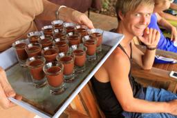 caribeans cacao drink 6