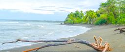 beach at sirena ranger station