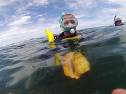 whale tail kayak tour coch 4