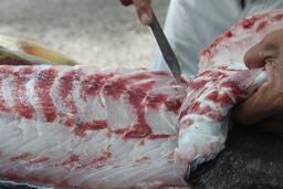 fresh carved seabass colochos 3