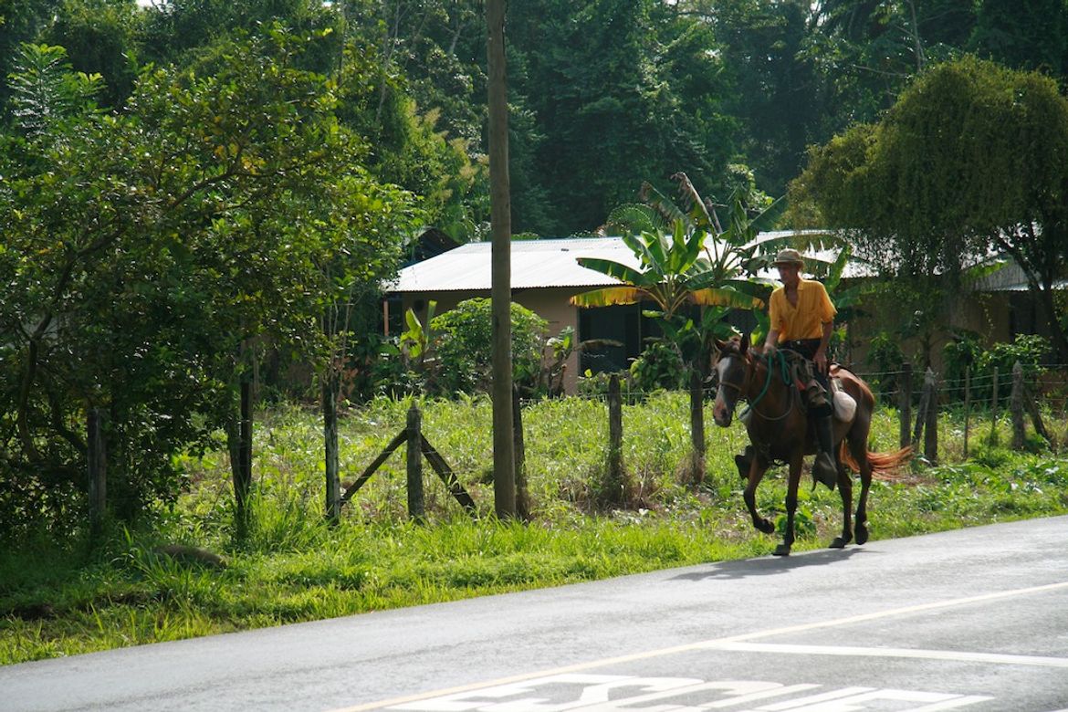 Local on Horseback in Puerto Viejo de Sarapiqui