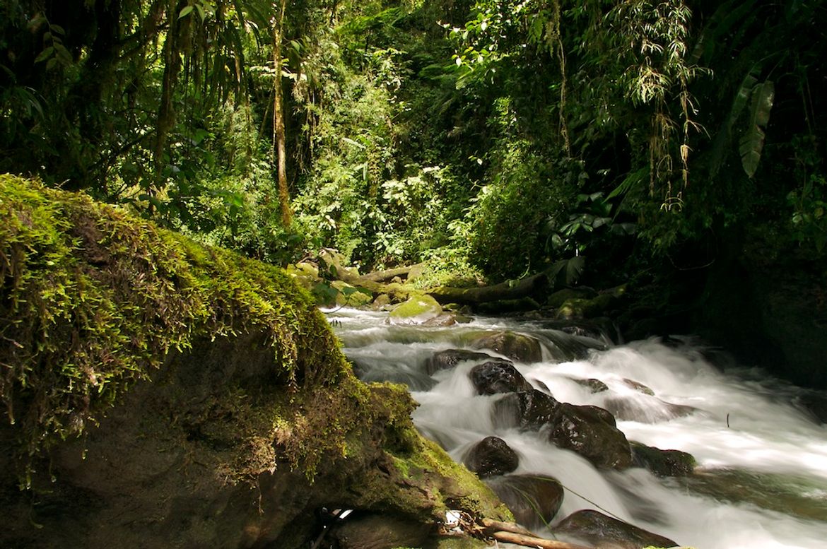 Mountain River at La Paz Waterfall Gardens
