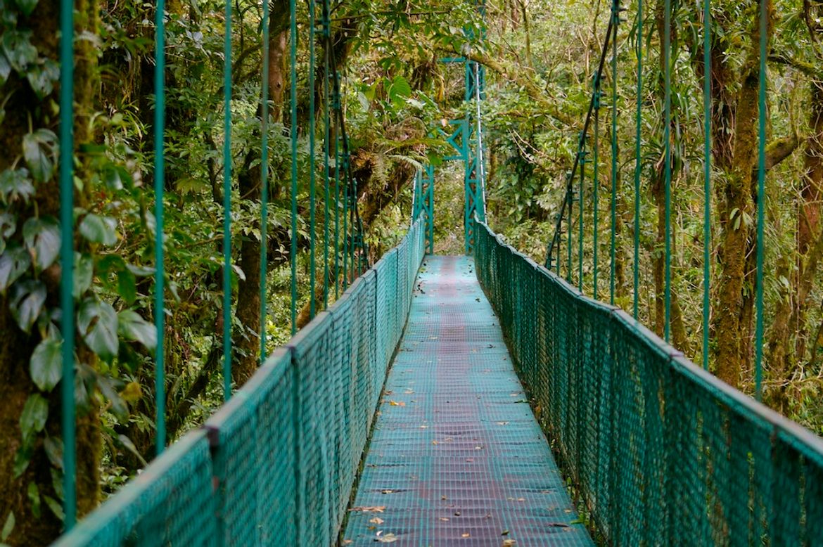 Hanging Bridge at Skywalk Monteverde