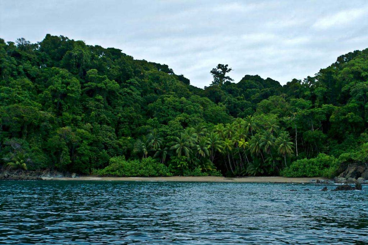 Lush Oceanfront on Cano Island