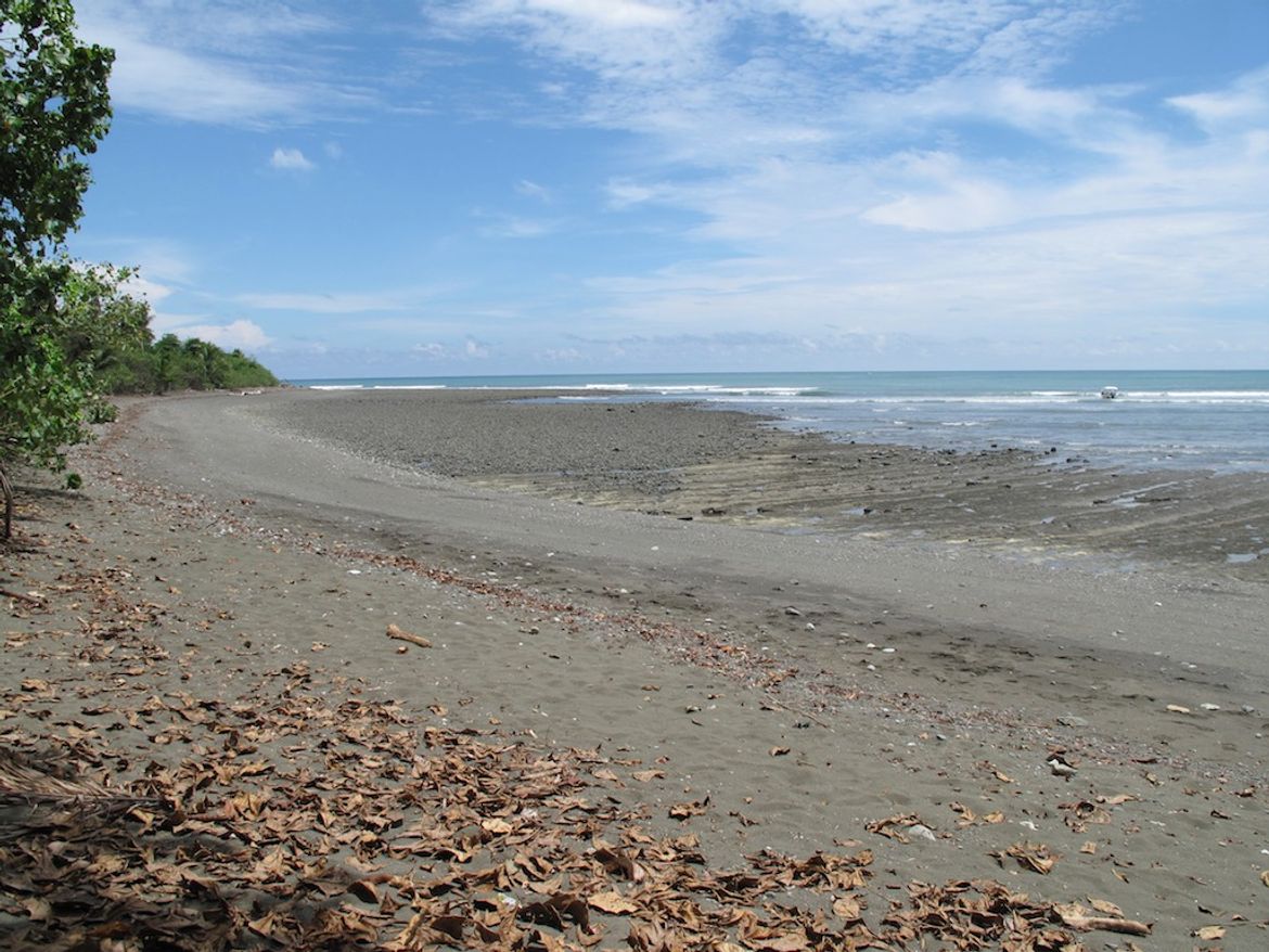 Sirena Beach in Drake Bay