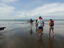 ballena aventura tour walking 4