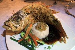 el galeon red snapper 4