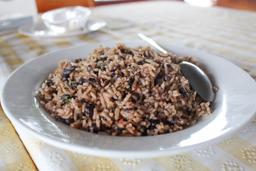 gallo pinto 11