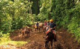 los suenos horses 5
