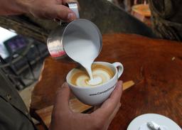 treehouse coffee pour 7