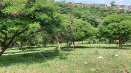 residential development site in guadalupe view 007