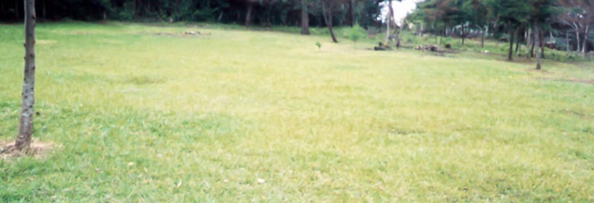rectangular shaped lot for development view 001