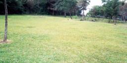 rectangular shaped lot for development view 001