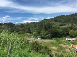 prime land for industrial or commercial development view 001