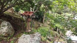 land with structures for wildlife rescue center in santa ana view 009