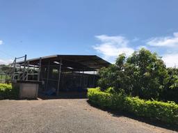 country estate for sale in alajuela view 002