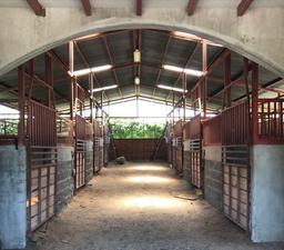 country estate for sale in alajuela view 019