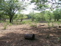 land for development near the beach in guanacaste view 005