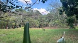 santa ana route 27 frontage 17 2 acre parcel buy one or all three parcel view 022