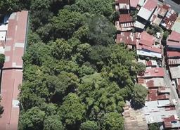 urban development site in sabana view 010