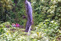 69 foot blue morpho waterfall hanging bridges mistico park