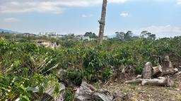 cul de sac residential development lot view 025