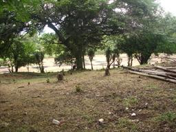 land for commercial or industrial development in alajuela view 001