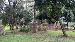 urban development site in sabana view 004