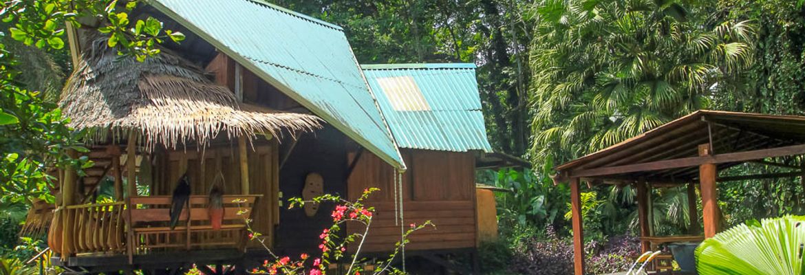 tree house lodge beach house 1