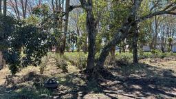 vacant lot under protected zone for development on route 32 san jose view 003