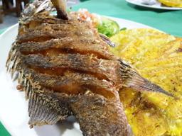whole fish lateral view=at perla del sur restaurant