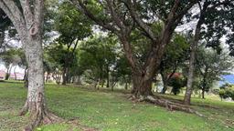 urban development site in sabana view 002