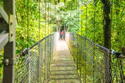 person crossing hanging bridges mistico park