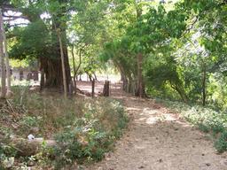 land for development near the beach in guanacaste view 008