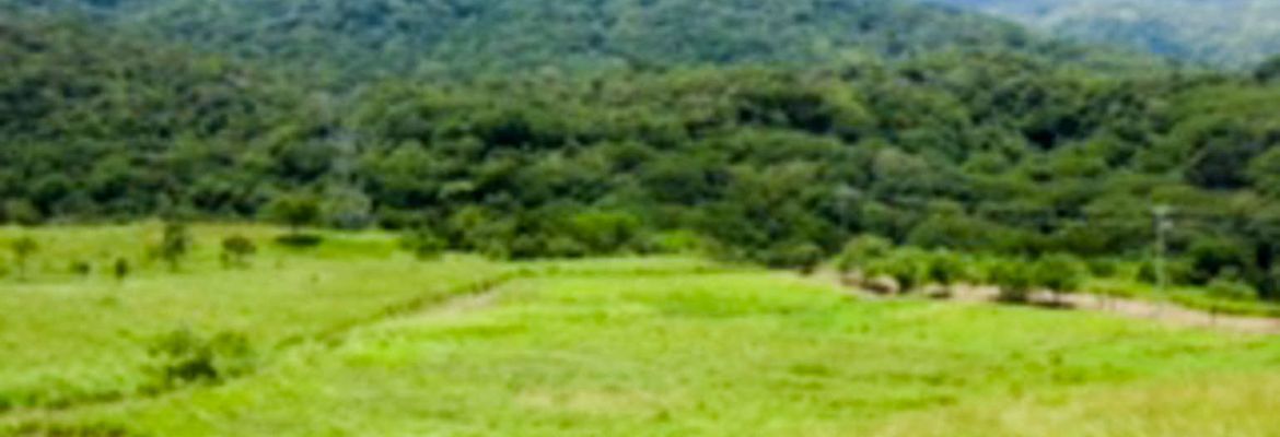residential parcel with valley views in alajuela view 004