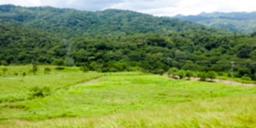 residential parcel with valley views in alajuela view 004